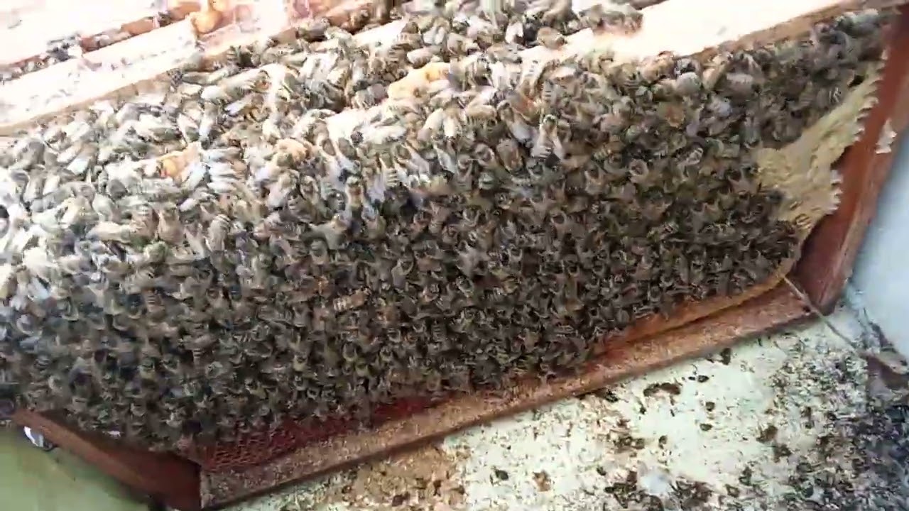 ОДНА РАМКА И ПОДСИЛИВАЮ НА МИНУС 20.