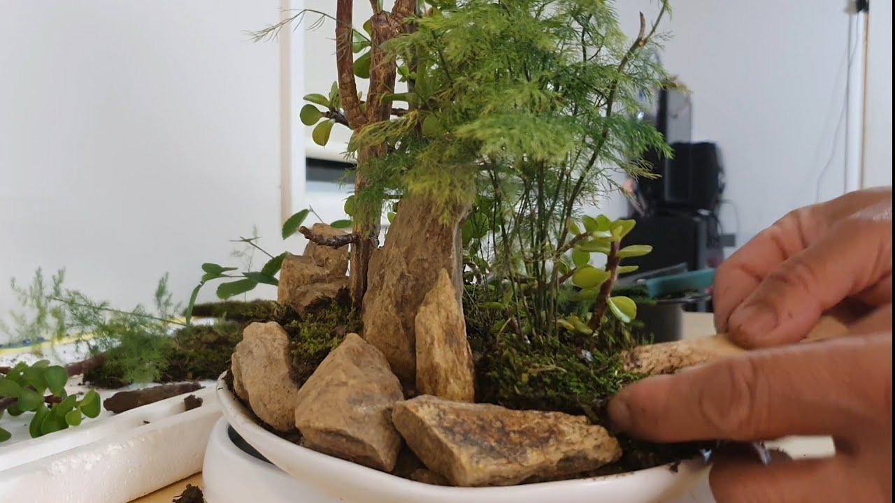 HOW TO MAKE JADE MINI FOREST - YouTube