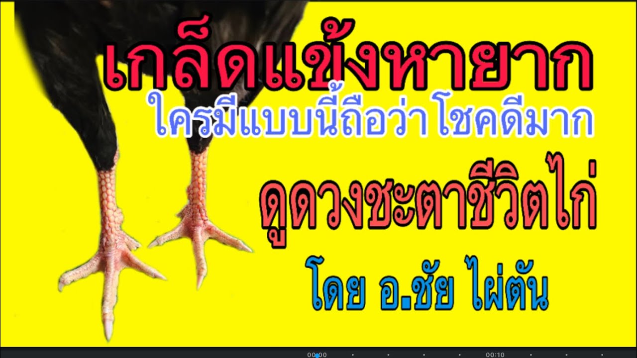 เกล็ดแข้งหายาก ใครมีแบบนี้ถือว่าโชคดีมาก