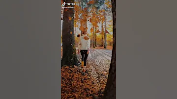 منظر غابة والبحر موسيقى يوميات تيك توك TikTok 