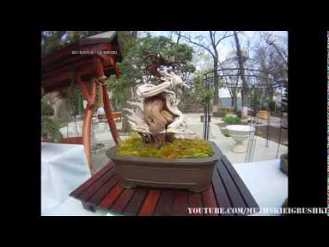 Автомобильный Видеорегистратор Mystery MDR-800HD часть 2