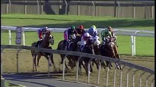 20190908 Hollywood Bets Greyville express clip Race 6 won by PRINCE OF VENICE