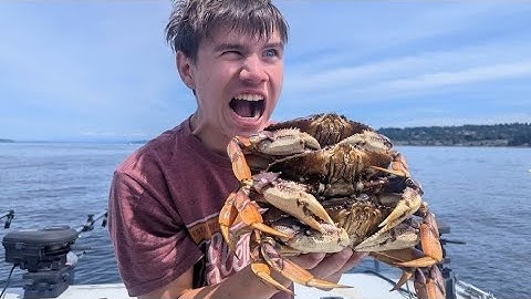 Dungeness Crabbing in the Puget Sound! Catch & Cook, Washington