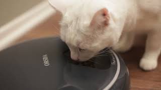 ORSDA Pet Auto Feeder for Small Dogs and Cats
