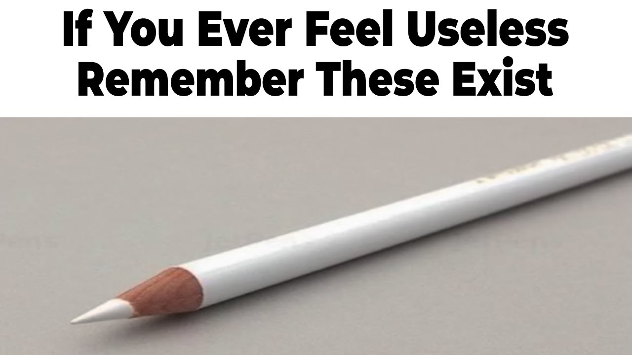 Memes Which Are Funny