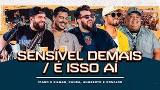 Sensivel Demais E Isso Ai Icaro e Gilmar Panda Humberto e Ronaldo DVD Ce ta doid