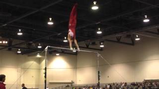 Yul Moldauer – High Bar – 2016 Winter Cup Prelims