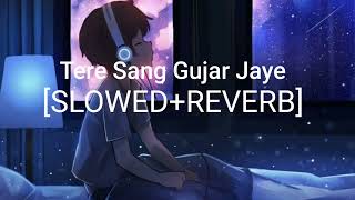 Tere Sang Gujar Jaye [Slowed+Reverb] Song | Lofi Songs | screenshot 3