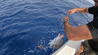 We Never Expected to Catch THIS Fish