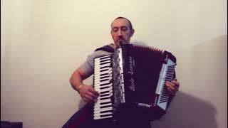 Perduto amore (in cerca di te) - Fisarmonica #fisarmonica