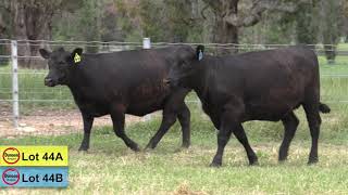 Lot 44A & 44B Dunoon
