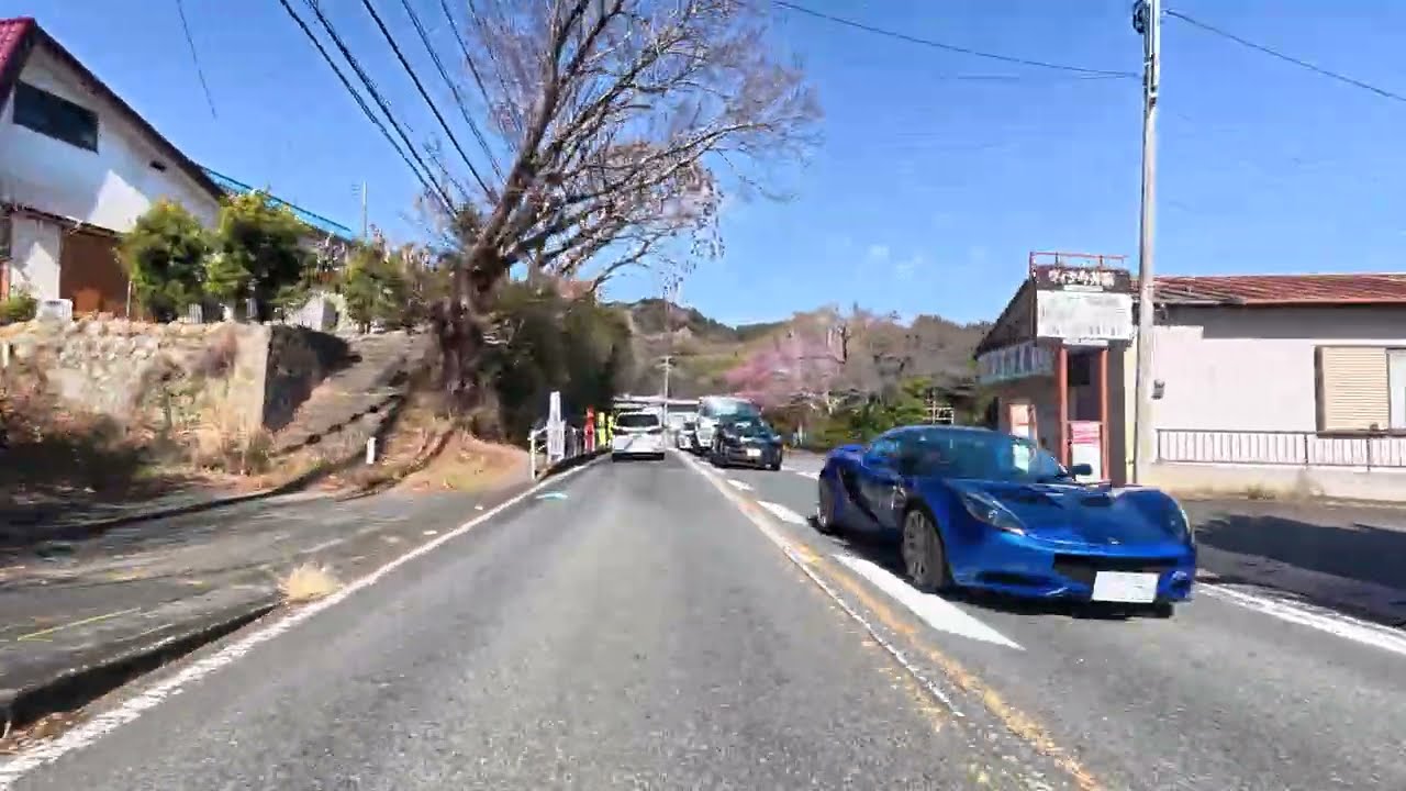 260218【河津桜ツーリング】26