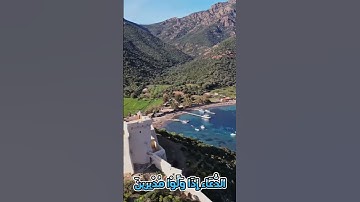 سورة الروم و...كا..نك تسمعها لأ،،و..ل مر.ة 💐❤️،.💞..🌷💟💔💕بصوت الشيخ حمزة مد بو.ح 💔..💐؛،🌸🌷💘؛؛🌹💞