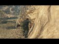 Middle of video