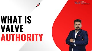 What Is Valve Authority