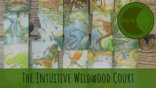 The Intuitive Wildwood Court