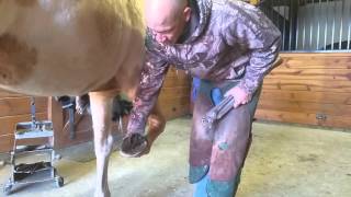 Basic Principals Profile