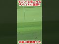 ドヤさん人生初のホールインワン!#shorts