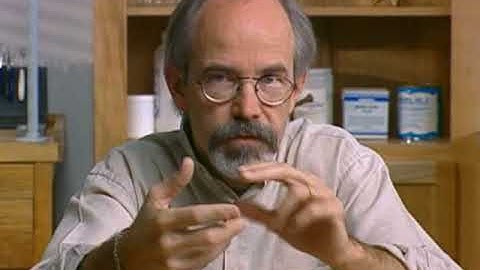 Intro to Found Objects