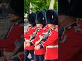 Changing arms—it's amazing how they do it while marching #grenadierguards #goviral