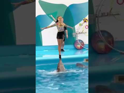 Великолепный танец девушки с дельфином ☯️👍❤️🎑🎶🌎🐬🐬🐬