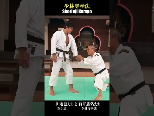 Karate master is astonished by Shorinji Kempo! 空手家が少林寺拳法に驚愕！