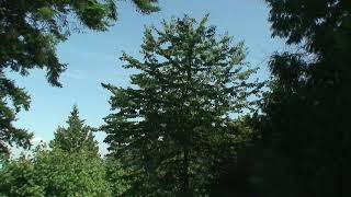 20140808 12