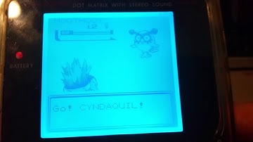 Backlit Digital RGB Biverted Nintendo Gameboy DMG Mod All Finished!!!