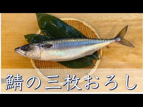 銀座久兵衛仕込み 鯖の三枚おろし How To Cut A Mackerel By Professional Sushi Chef Youtube