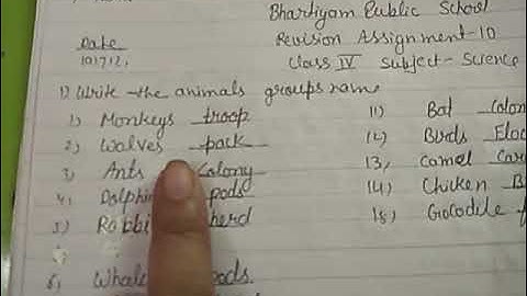 Bhartiyam Public School /class 4/Science/Revision Assignment 10,11