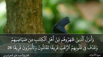 الصفحة 421 سورة الأحزاب القارئ المهندس أحمد فايز الحراسيس