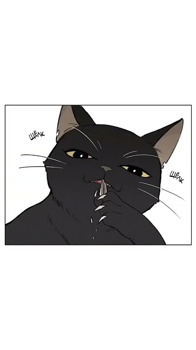 Cat and Hamster #bledit #yaoimanga #bl #yaoi #hamster #boylove #edit #manhwa