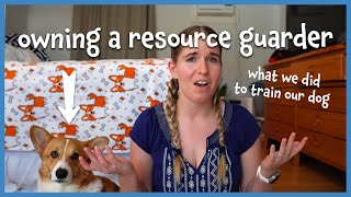 Owning a RESOURCE GUARDING Dog | how we stopped it + mistakes we made