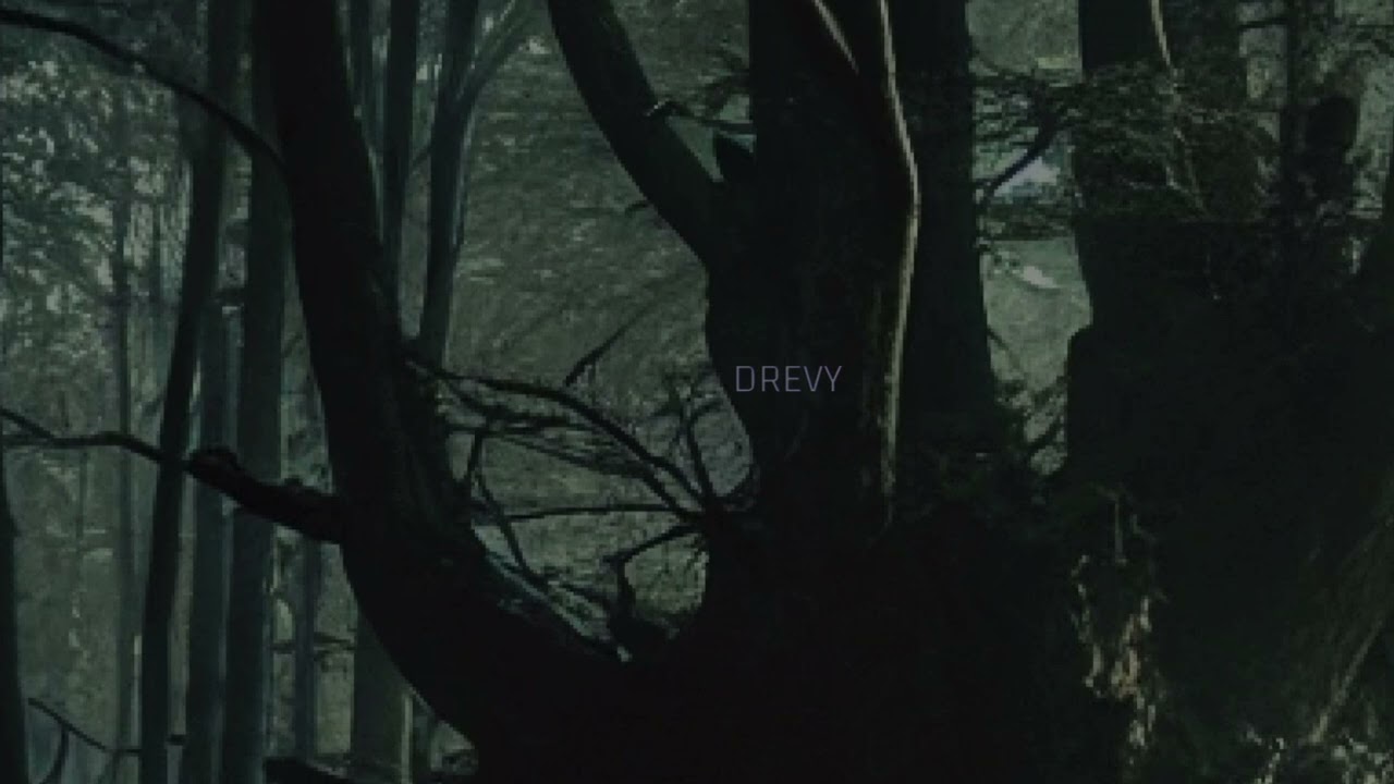 Drevy | Dark & Intense Soundscape - An Aggressive Ambient Journey