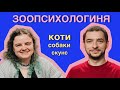 ЯК ЗРОЗУМІТИ СВОЮ ТВАРИНУ ЗООПСИХОЛОГИНЯ ВЕТЕРИНАРКА АНАСТАСІЯ КРАМАРЕНКО ЦЕЙВО ПОДКАСТ 37