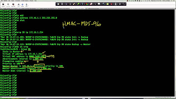 SPRING 2016 - CTS266-840 (Week #9 - 03.28.2016) - VRRP Supplement (Cisco NetAcad)