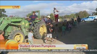 Lindhurst H.S. Pumpkin Patch Pt. 2