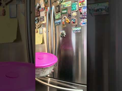 Carola van Gelder, Ludolph Wentholt, Moniek Löffler | Dynamisch Kustbeheer op dreef