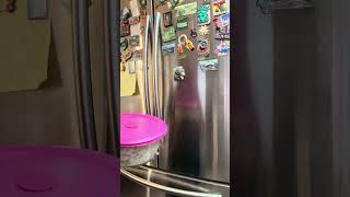 Prepping Salad The Smart Way