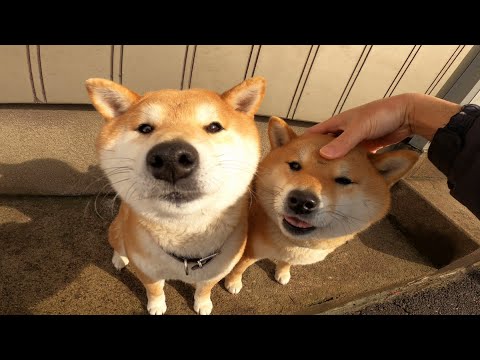 déjà vu #既視感 - YouTube
