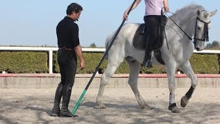 *if you want to see the original video have watch it with your
computer: bailando//dressage lesson* * i uploaded this one a different
music so yo...
