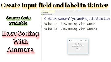 Python GUI with Tkinter | Input flied python | urdu/hindi