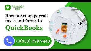 Complete Guide to Setting Up Payroll Taxes & Forms in QuickBooks Online Payroll