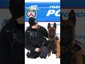 Toronto police welcome ‘Sylus’ as the newest member of the K9 unit