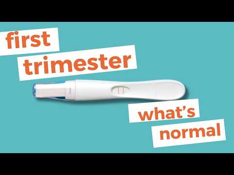 First Trimester Worries And Symptoms