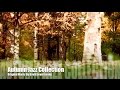 Autumn Jazz & Autumn Jazz Playlist: One Hour of Autumn Jazz Music and Autumn Jazz Songs