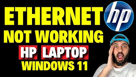 Ethernet Not Working in HP Laptop Windows 11