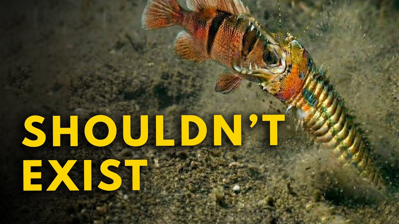 Невозможные аномалии природы