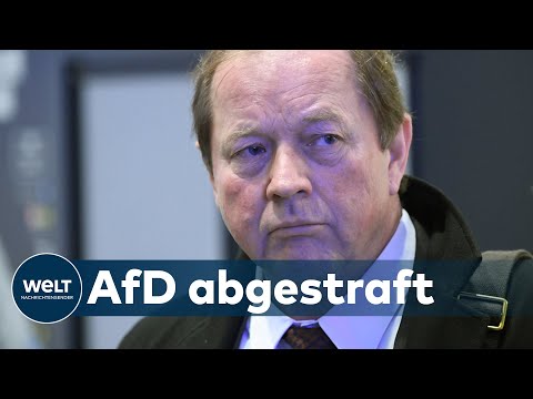 WAHL IN HAMBURG: Trotz höherer Wahlbeteiligung - AfD verliert ihr Momentum