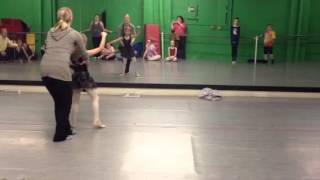Nutcracker party scene part 2